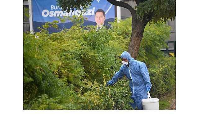 Osmangazi’de Şehrin Sağlığı İçin Kollar Sıvandı