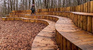 Sonbahar, huzurun adresi Ormanya'da bir başka