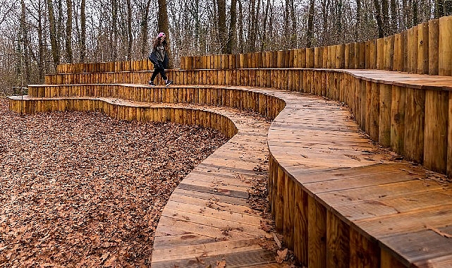 Sonbahar, huzurun adresi Ormanya'da bir başka