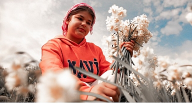 Bayındır’da Nergis ve Kuru Çiçek Festivali 5. Kez düzenleniyor