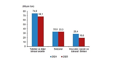 Bitkisel Üretim İstatistikleri, 2025