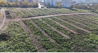 Büyükşehir’den Gölcük’e yeni mezarlık alanları