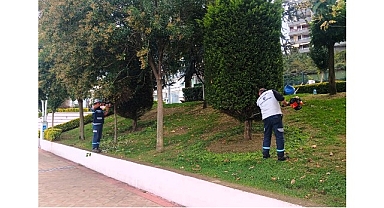 Büyükşehir’den yeşil alanlara özel bakım