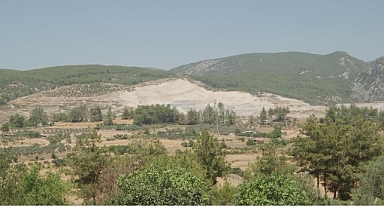  Doğa İçin Sorumluluk Hepimizde: TEMA Vakfı 2025’in Çevre Olaylarını Değerlendirdi