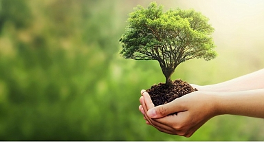 Fuzul’den 2025 çalışanı adına Çanakkale ve Şanlıurfa’ya 2025 fidan bağışı