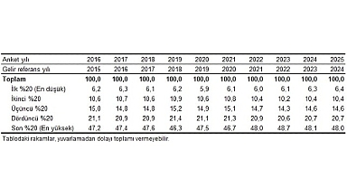 Gelir Dağılımı İstatistikleri, 2025