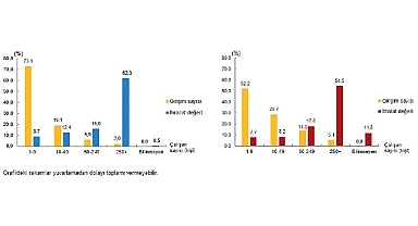 Girişim Özelliklerine Göre Uluslararası Hizmet Ticareti İstatistikleri, 2023