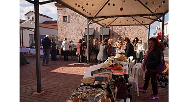 Her Şey Ayvalık Fidanları İçin