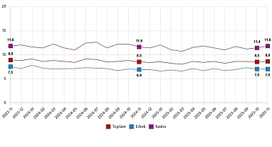 İşgücü İstatistikleri, Kasım 2025