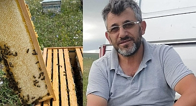 Kars platosunda doğaya saygılı arıcılık