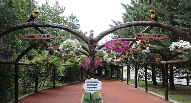 Keçiören’de Modern Serada Üretilen Çiçekler İlçeyi Süslüyor