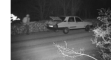 OGM’den kaçak kesimlere karşı 7/24 koruma