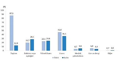 Teknogirişim Araştırması, 2024