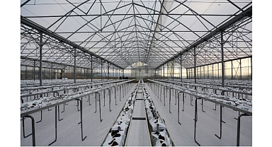 Termal Sera İle Verimli Üretim Başlıyor