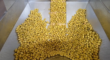 Zeytin ve zeytinyağı sektöründe güçler URGE Projesi’nde birleştirilecek