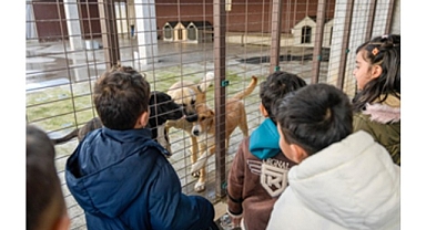 86 bin tedavi, 13 bin kısırlaştırma