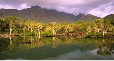 ‘Avustralya’nın Vahşi Ormanları’, 10 Ocak Cumartesi 20.00’de National Geographic WILD Ekranlarında!