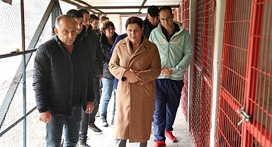 Başkan Fıçı hayvanseverlerle buluştu: Can dostlarımız yalnız değil!