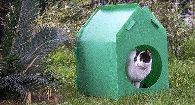 Başkan Tugay söz verdi, kediler sıcak yuvalarına kavuştu