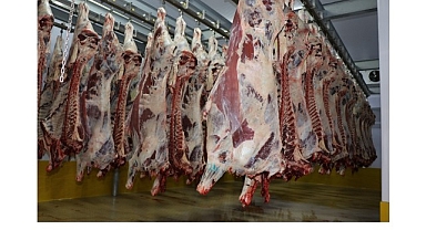 Büyükşehir Mezbahası’nda 6 bin 29 kesim yapıldı