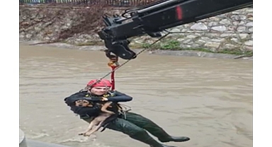 Dereye düşen köpek itfaiye ekipleri tarafından kurtarıldı