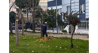 Didim Belediyesi Ekiplerinden İlçe Genelinde Yoğun Mesai