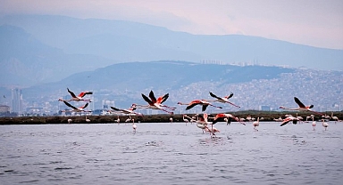 Doğa, kültür ve lezzet tutkunları yarıyıl tatilinde bu turlarda buluşacak