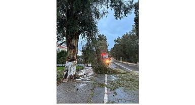 Foça Belediyesi Ekipleri Fırtına ve Yağışa Karşı Teyakkuzda