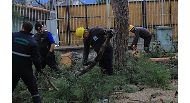 Osmangazi Belediyesi’nden Lodosa Karşı Etkin Müdahale