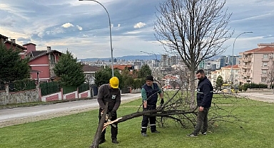 Şiddetli Lodosun Devirdiği Ağaçlara Osmangazi Belediyesi’nden Anında Müdahale 