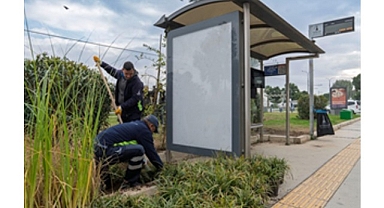 Yeşil duraklarla kente nefes