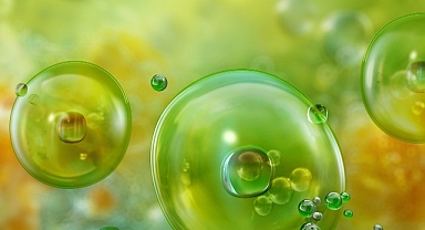 Akdeniz’de Görülen Mikroalgler ve Olası Sağlık Riskleri