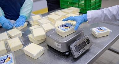 Büyükşehir’den peynir hamlesi