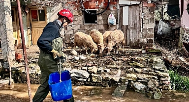 Büyükşehir ekipleri tüm canlılar için aynı özveriyle çalışıyor