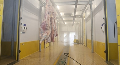 Büyükşehir Mezbahası'nda hijyenik ve helal kesim