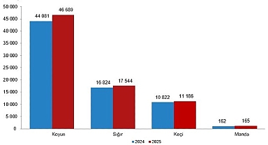 Hayvansal Üretim İstatistikleri, 2025