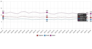 İşgücü İstatistikleri, Ocak 2026