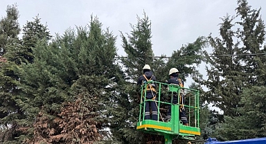 Kartepe’de Yeşil Alanlara Düzenli Bakım