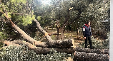 Şiddetli Fırtına Nedeniyle Yaşanan Olumsuz Durumlara Milas Belediyesi Anında Müdahale Etti