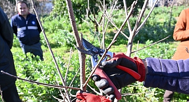 ATASEM’de uygulamalı ağaç budama eğitimi