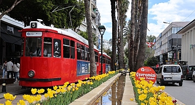 Baharın müjdecisi laleler Antalya sokaklarını renklendirdi