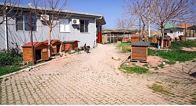 Başkan Yetişkin: “Artık çöpe giden yemekler can dostlarımız için mamaya dönüşüyor”