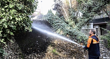 Başkent’in Simgesi Kuğulupark’ta Buharlı Temizlik