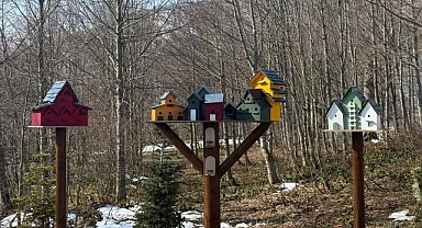 Bayramda kapınız doğaya açılsın