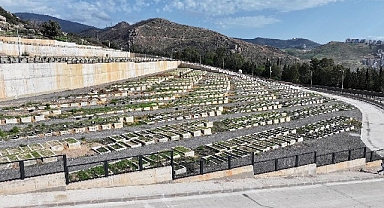 Büyükşehir 70 futbol sahası büyüklüğünde alan açtı