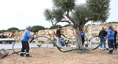 Didim Belediyesi, Didim’e Çıkan Yolları Daha Da Güzelleştiriyor