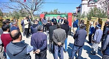 Gördes’te Üreticinin Yüzü Güldü: 73 Bin Domates Fidesi Toprakla Buluşuyor