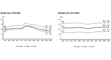  İşgücü İstatistikleri, 2025