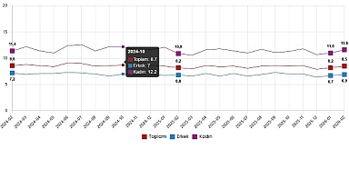 İşgücü İstatistikleri, Şubat 2026