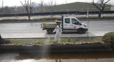 Keçiören’de Larva Mücadelesi ve Bordo Bulamacı Uygulamaları Aralıksız Devam Ediyor